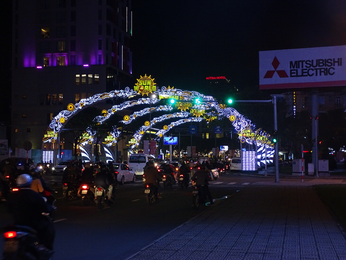 DSC02250 (700x525, 404Kb)