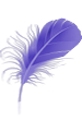 4621797-thumb (75x110, 10Kb)