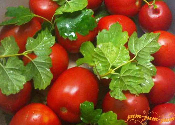 recept-konservirovannyx-pomidorov-s-gorchicej-na-zimu (700x500, 64Kb)