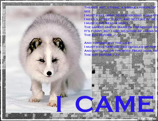 icame (640x491, 309Kb)
