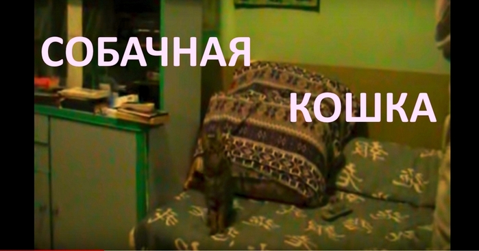 --- (700x366, 144Kb)