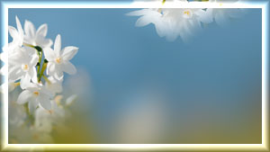 --1 (300x169, 12Kb)