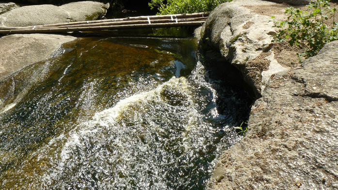 P1230771 (700x393, 504Kb)