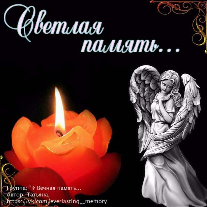 Открытка памяти погибших, животные тигры котенок
