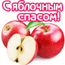 131050793_getImage (128x128, 10Kb)