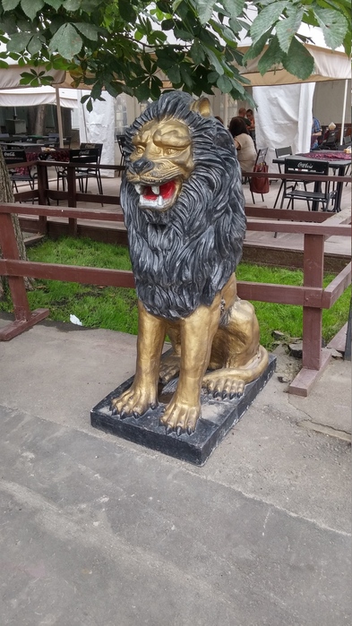 20180714_144800_HDR (393x700, 166Kb)