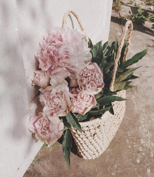 tumblr_pb0m38FQn31s3ceb5o1_500 (500x575, 235Kb)