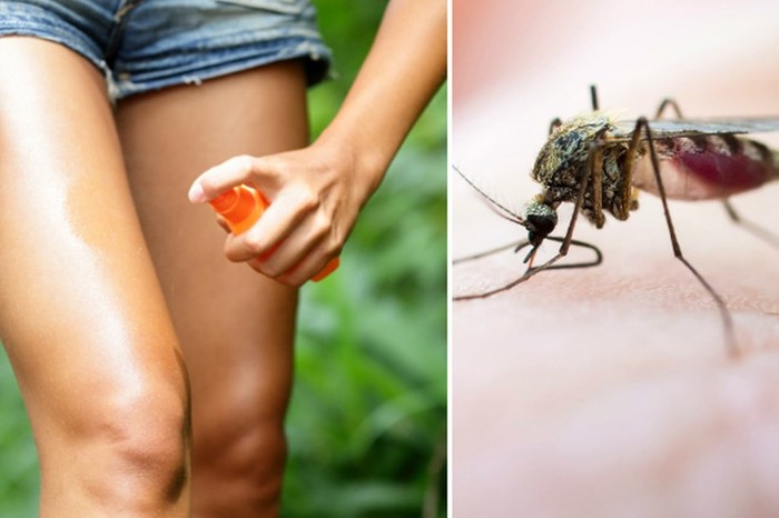 Как сделать очень «вкусный» спрей, который защитит от комаров в любое время года