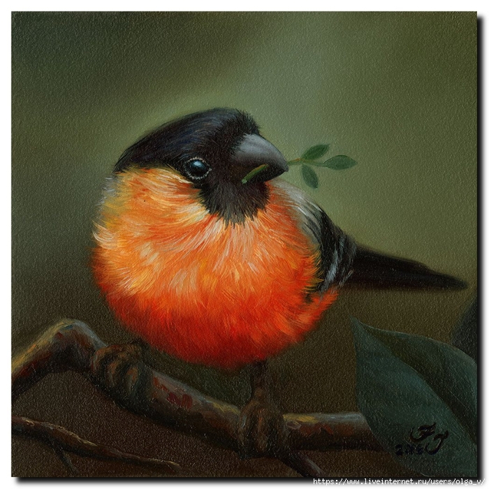 bullfinch-bird-oil-painting (700x700, 384Kb)