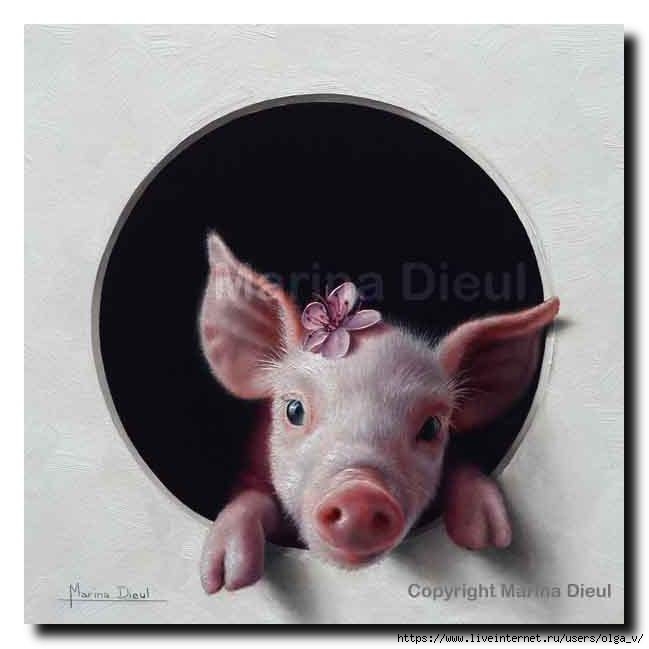Marina Dieul_Cochon 9_Oil_10x10-web3 (649x649, 85Kb)