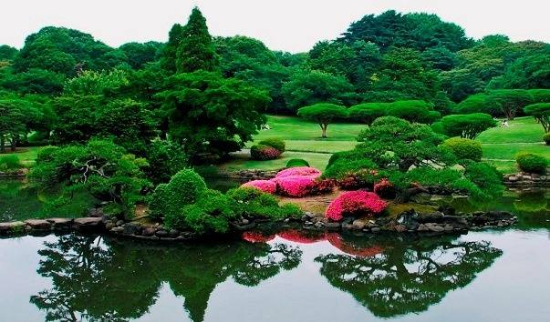nacionalnij-sad-shinjuku-gyoen-yaponiyaсиндзуку парк (603x354, 50Kb)