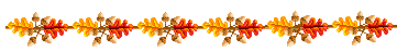 1 (1) (361x48, 2Kb)