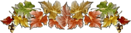 1 (4) (450x114, 111Kb)