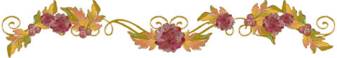 1 (5) (480x83, 60Kb)