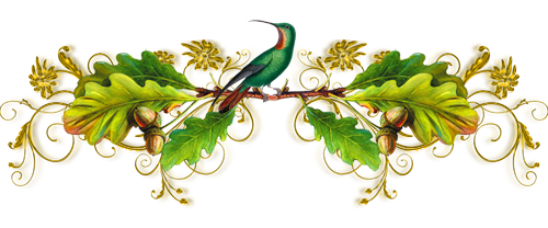 1 (23) (500x208, 158Kb)