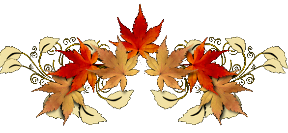 1 (80) (586x270, 145Kb)