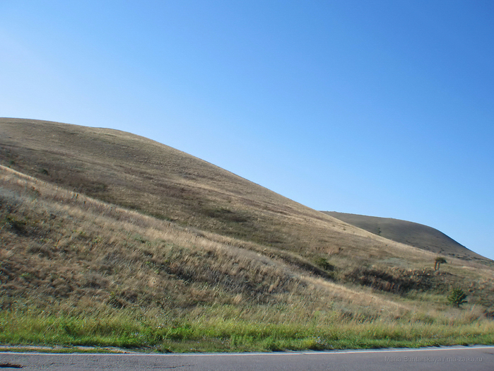 IMG_3466 (700x525, 450Kb)