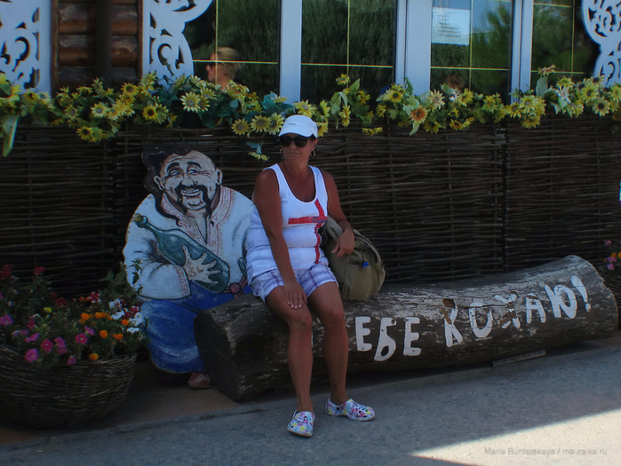 IMG_3585 (700x525, 506Kb)