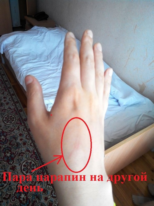  2 (525x700, 105Kb)