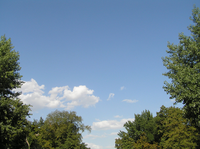 P8150003 (700x523, 469Kb)