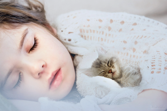 5011241_sleeping1311784_960_720222 (700x466, 382Kb)