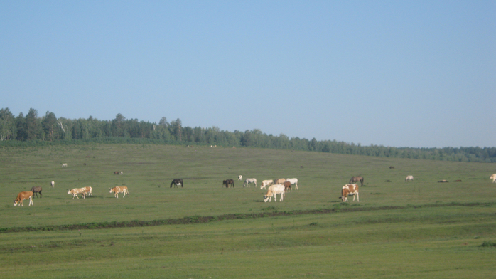 IMG_4800 (700x392, 294Kb)