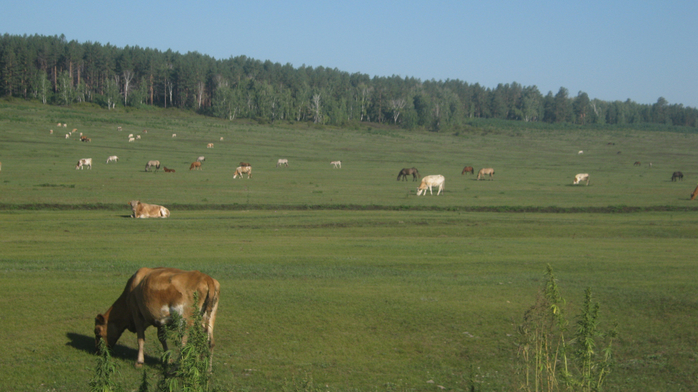 IMG_4807 (700x392, 334Kb)