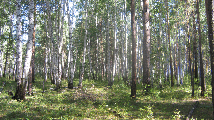 IMG_4845 (700x392, 516Kb)