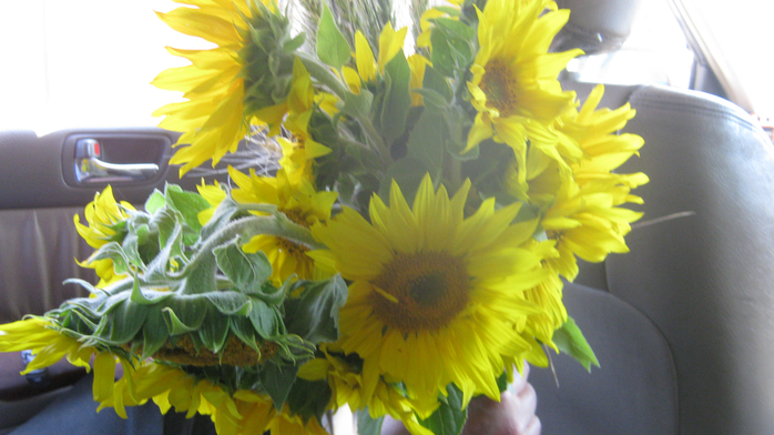 IMG_4894 (700x392, 356Kb)