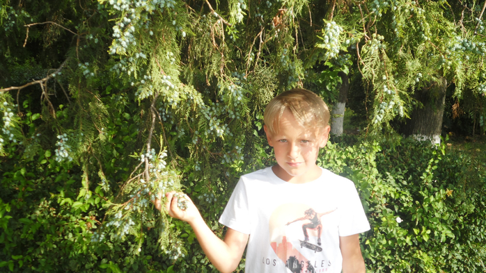 SAM_3052 (700x393, 447Kb)