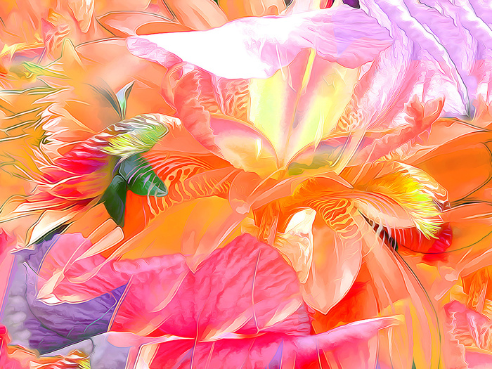 2835299_EKZOTIChESKIE_CVETI13 (700x525, 317Kb)