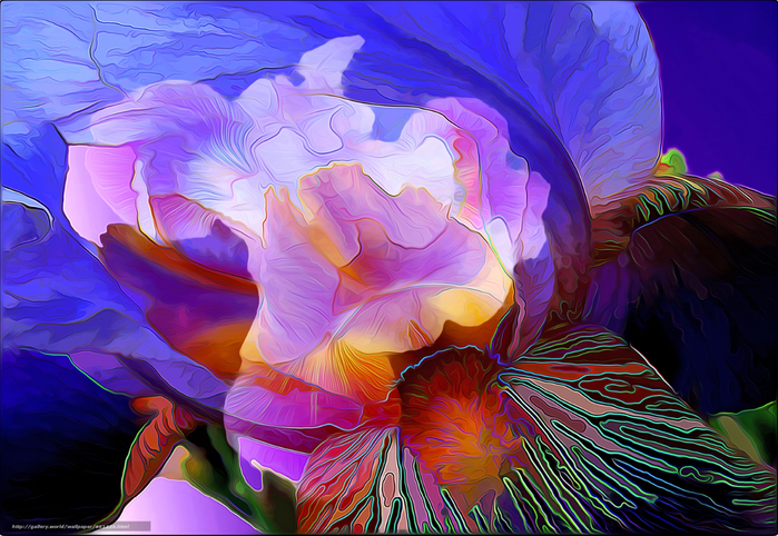 14 (700x482, 515Kb)