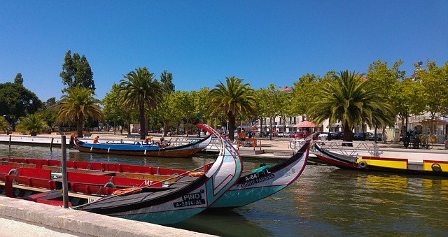 1535484266_portugal-1565497_640 (1) (640x339, 89Kb)