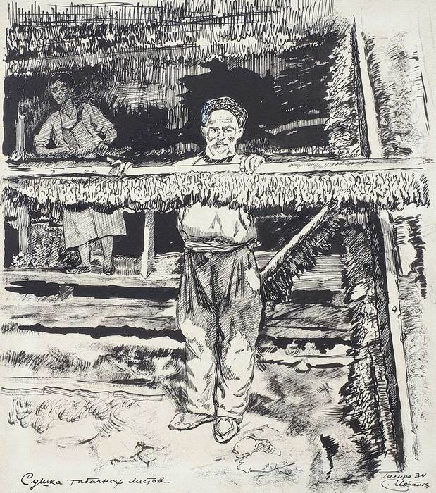 лобанов Сушка табачных листов. Гаспра. 1934 г. Бумага, перо, тушь. 3531 см. Частное собрание. (619x700, 364Kb)