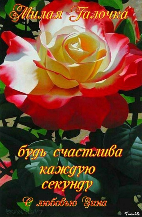 5182169_XkcmItst70JH (458x700, 233Kb)
