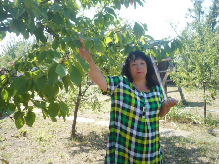 SAM_3105 (700x525, 518Kb)