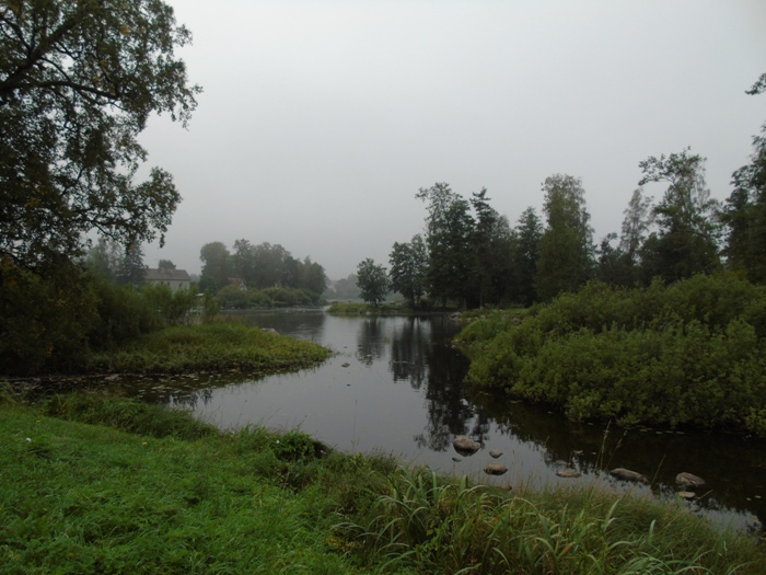 DSC01263 (700x525, 330Kb)