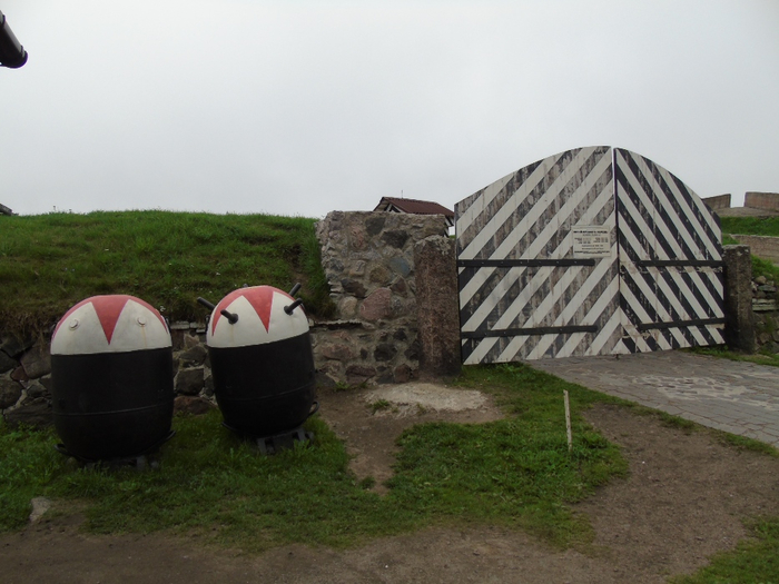 DSC01306 (700x525, 332Kb)