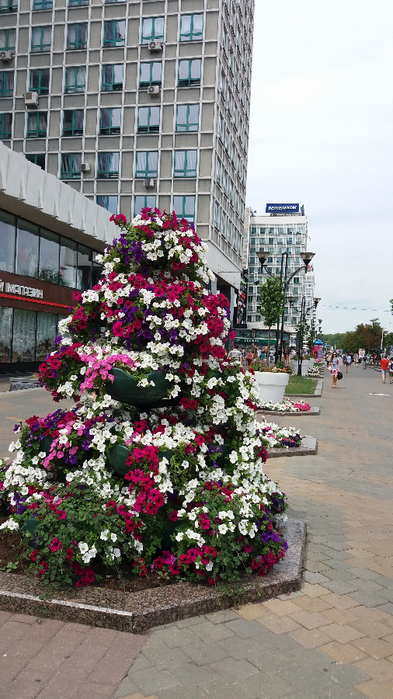 Города - Минск увидела Светлана во время отпуска в июле (393x699, 395Kb)