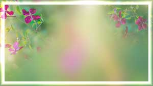 --1 (300x169, 8Kb)