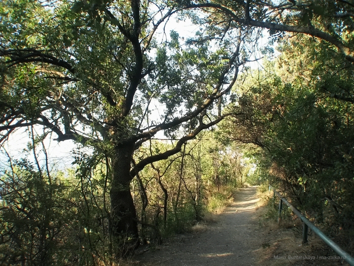 2270477_IMG_3866 (700x525, 399Kb)