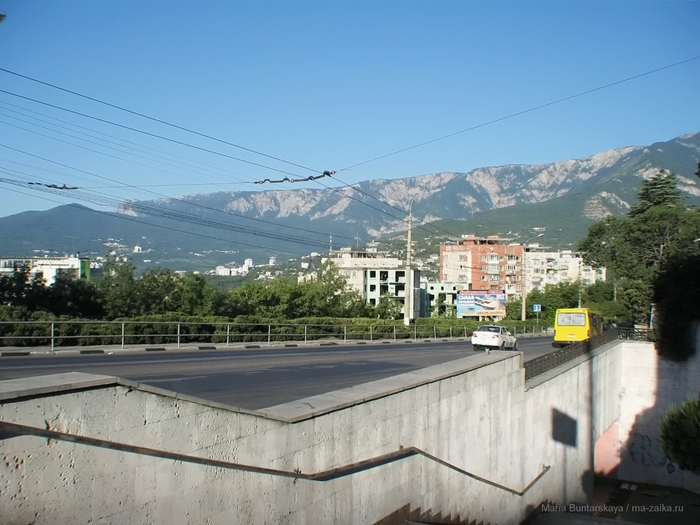 2270477_IMG_3870 (700x525, 269Kb)