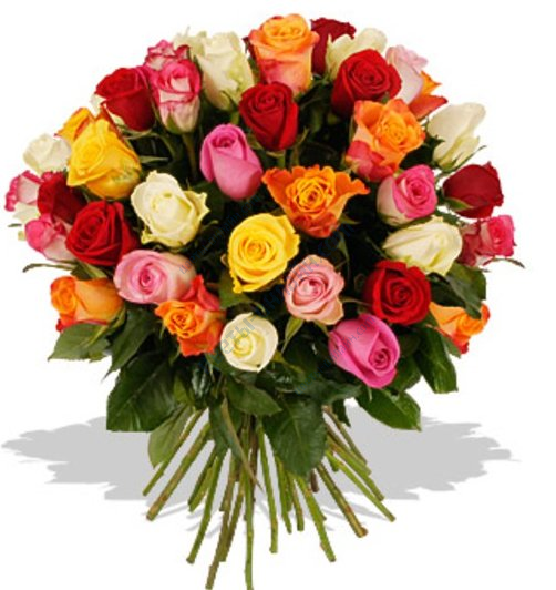 3571750_product_img_1095 (502x532, 784Kb)