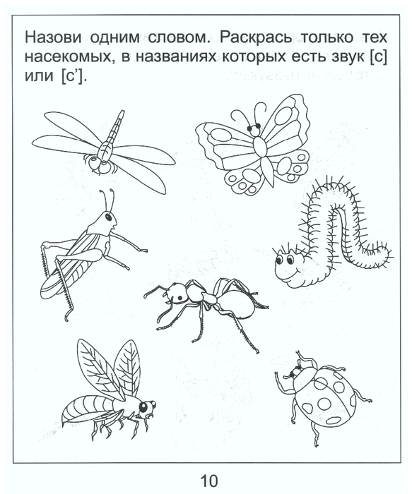 Развитие речи насекомые средняя группа. Логопедическое задание на тему насекомые. Насекомые задания по развитию речи. Насекомые задания для дошкольников. Насекомые задания логопеда для дошкольников.