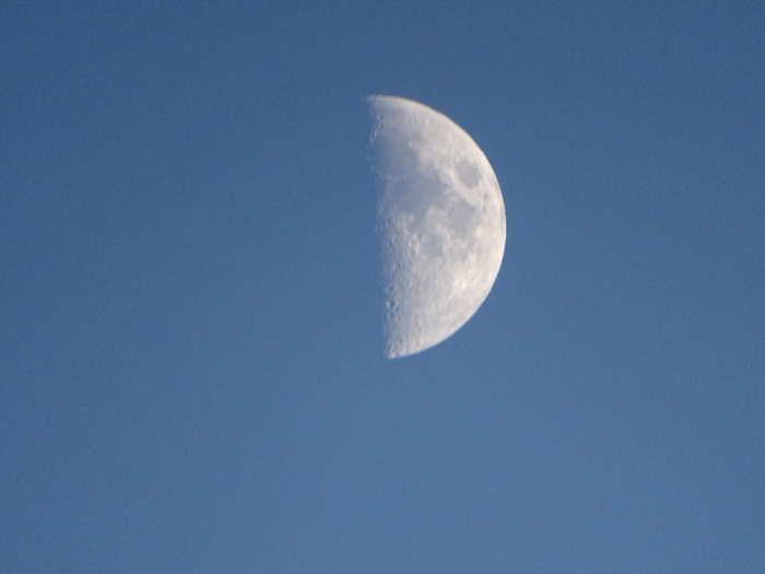 DSC05463 (700x525, 287Kb)