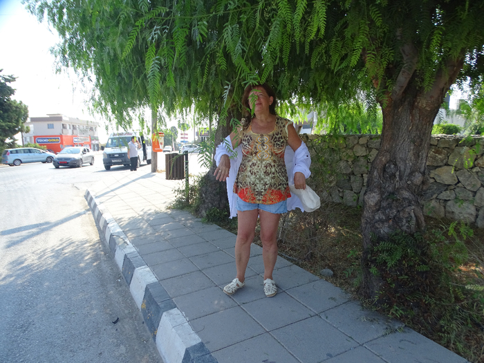 DSC05575 (700x525, 475Kb)