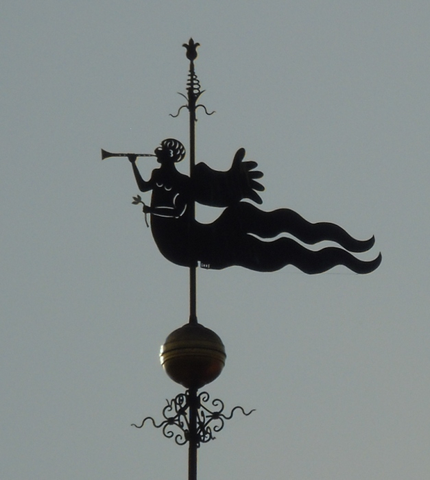 DSC01807 (627x700, 243Kb)