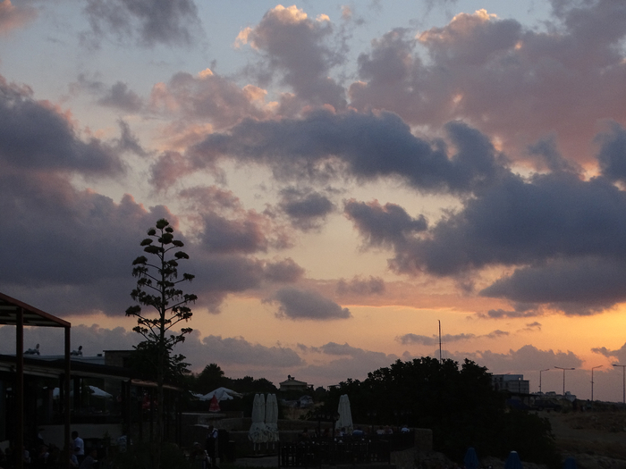 DSC06010 (700x525, 303Kb)