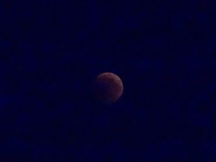 DSC06122 (700x525, 234Kb)