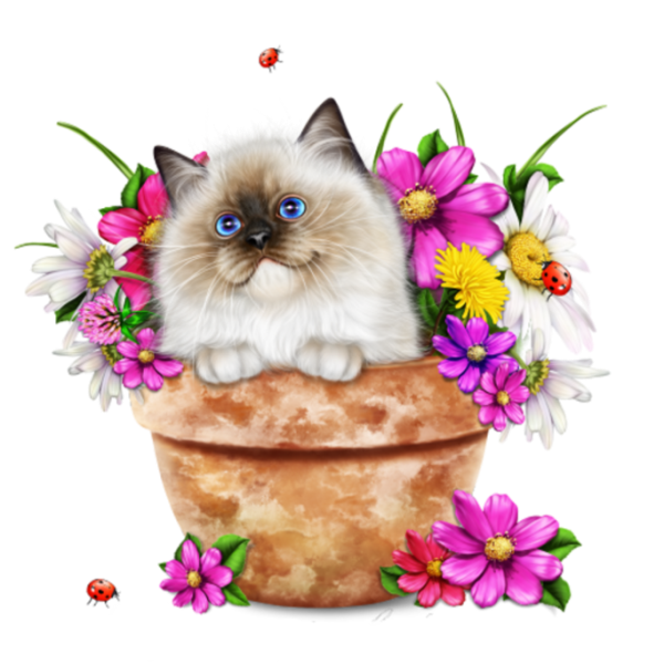 --- (600x600, 542Kb)
